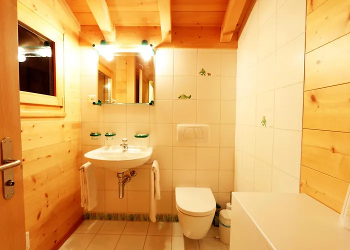 Les Melezes * 萨斯费